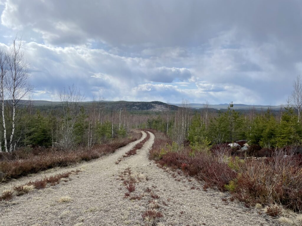 Vy från Storåsen mot Åsbotten